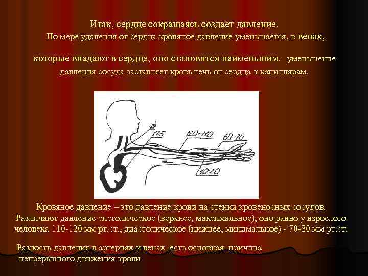 Итак, сердце сокращаясь создает давление. По мере удаления от сердца кровяное давление уменьшается, в