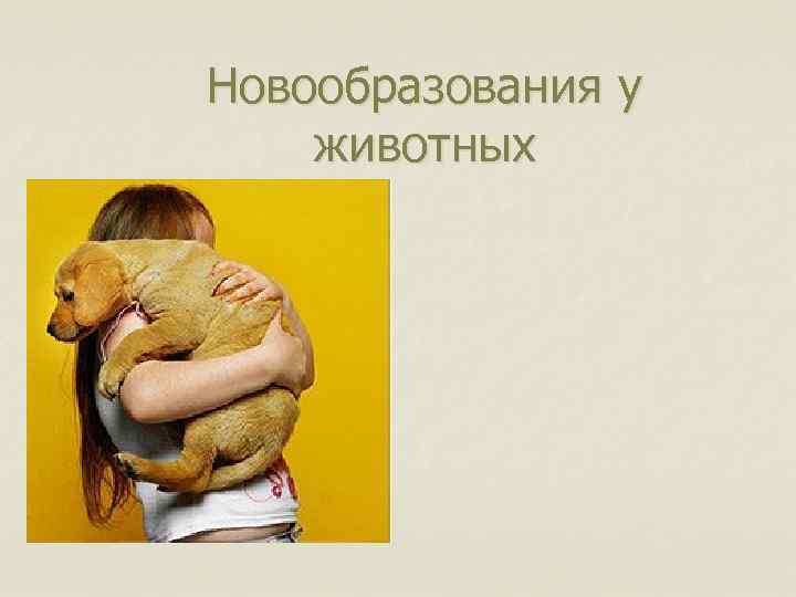 Новообразования у животных 