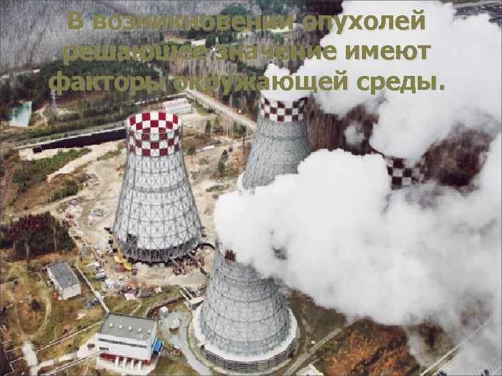 В возникновении опухолей решающее значение имеют факторы окружающей среды. 