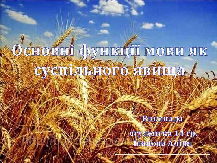Основні функції мови як суспільного явища Виконала студентка 14 гр. Іванова Аліна 