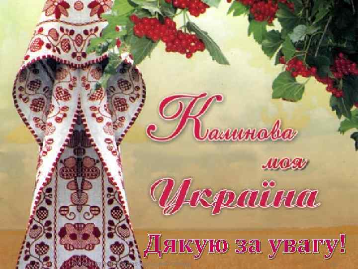 Дякую за увагу! Основні функції мови як суспільного явища 13 