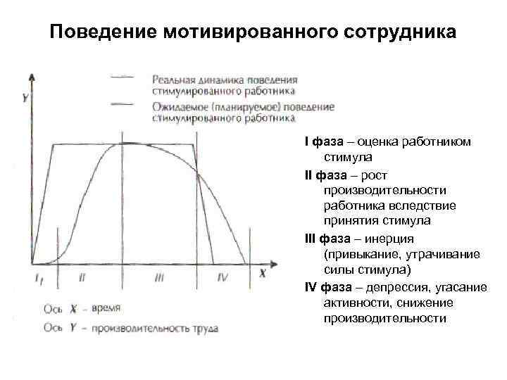 Поведение мотивированного сотрудника I фаза – оценка работником стимула II фаза – рост производительности