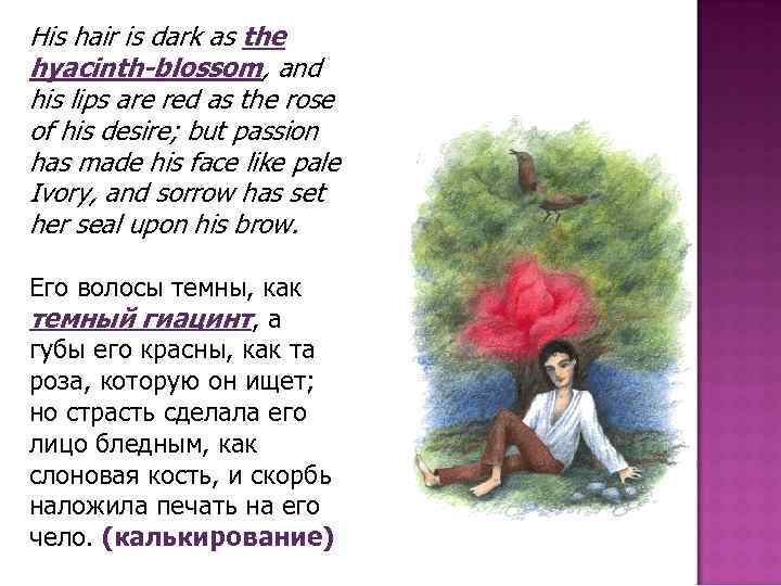 His hair is dark as the hyacinth-blossom, and his lips are red as the