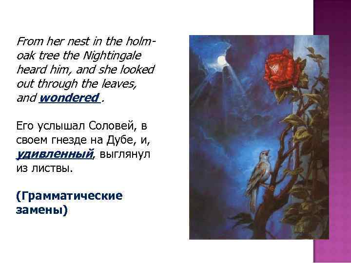 From her nest in the holmoak tree the Nightingale heard him, and she looked