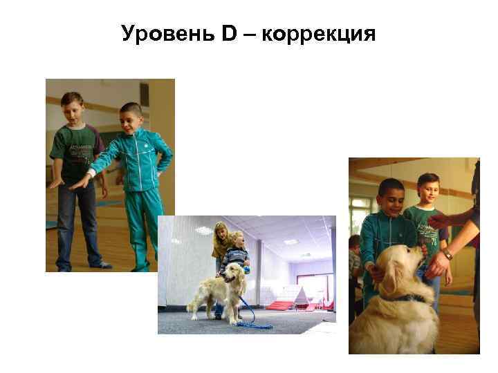 Уровень D – коррекция 
