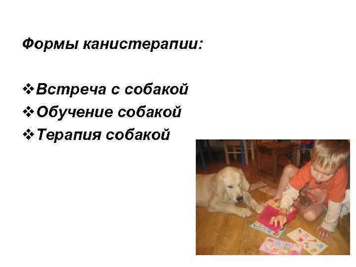 Формы канистерапии: v. Встреча с собакой v. Обучение собакой v. Терапия собакой 