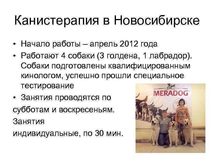 Канистерапия в Новосибирске • Начало работы – апрель 2012 года • Работают 4 собаки