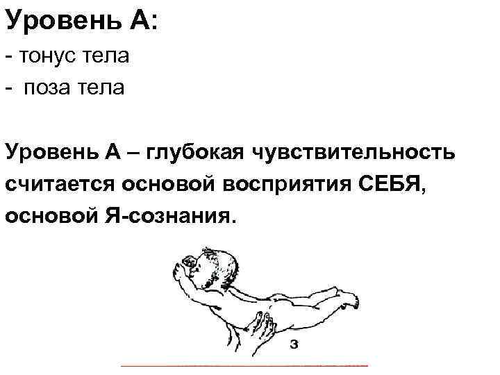 Уровень А: - тонус тела - поза тела Уровень А – глубокая чувствительность считается