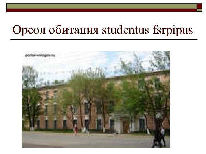 Ореол обитания studentus fsrpipus 