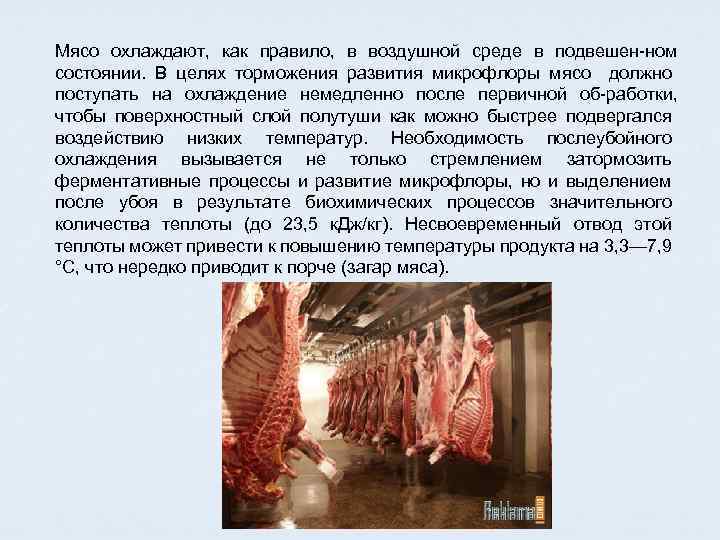 Мясо охлаждают, как правило, в воздушной среде в подвешен ном состоянии. В целях торможения