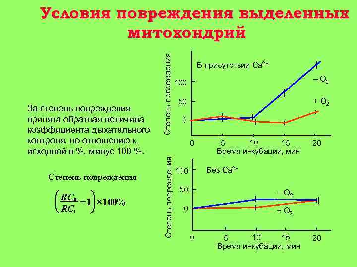 Степень повреждения æ RC 0 ö ç - 1÷ ´ 100% ç RCt ÷