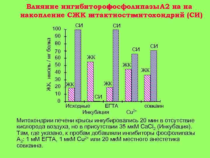 ЖК, нмоль / мг белка Влияние ингибиторов фосфолипазы А 2 на на накопление СЖК
