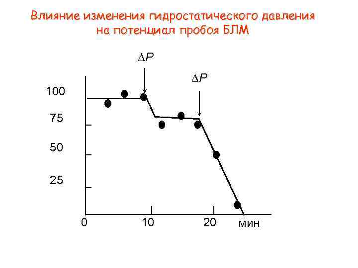 Влияние изменения гидростатического давления на потенциал пробоя БЛМ P P 100 75 50 25
