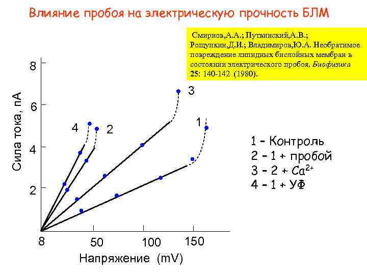 Влияние пробоя на электрическую прочность БЛМ Смирнов, А. А. ; Путвинский, А. В. ;