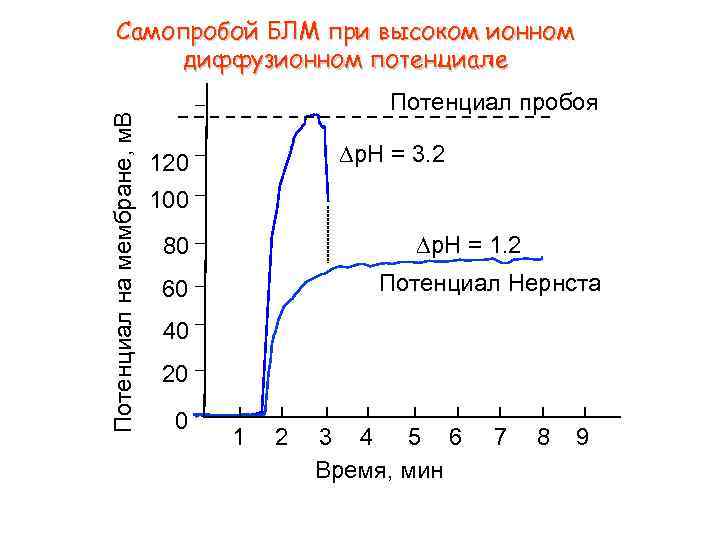 Потенциал на мембране, м. В Самопробой БЛМ при высоком ионном диффузионном потенциале Потенциал пробоя