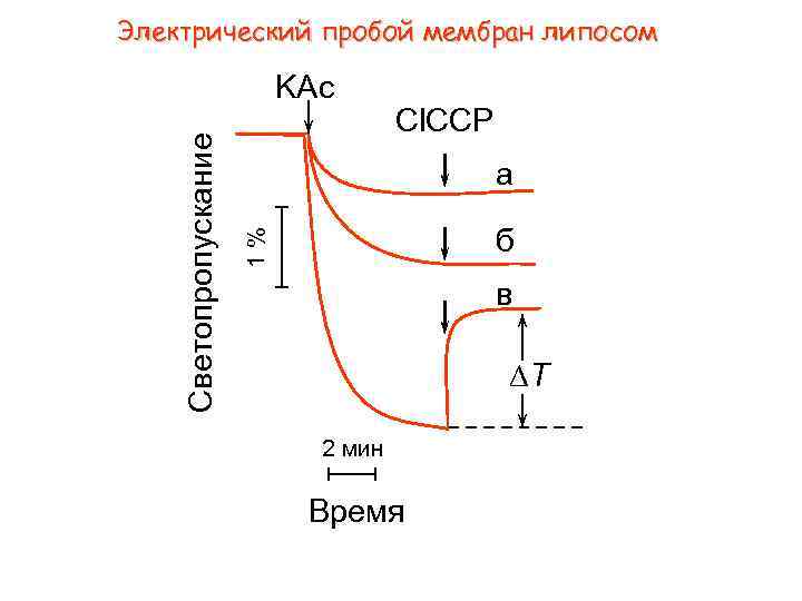 Электрический пробой мембран липосом Cl. CCP а б 1% Светопропускание KAc в T 2