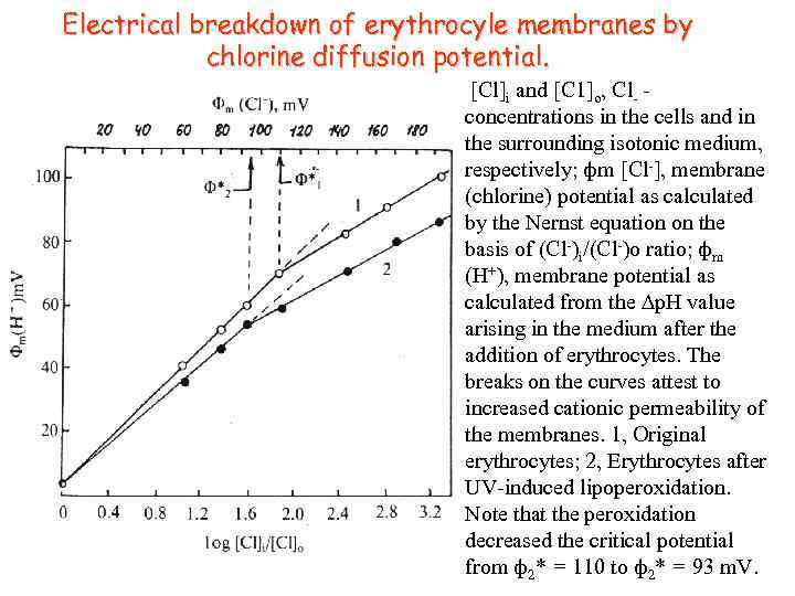 Electrical breakdown of erythrocyle membranes by chlorine diffusion potential. [Cl]i and [C 1]o, Cl-