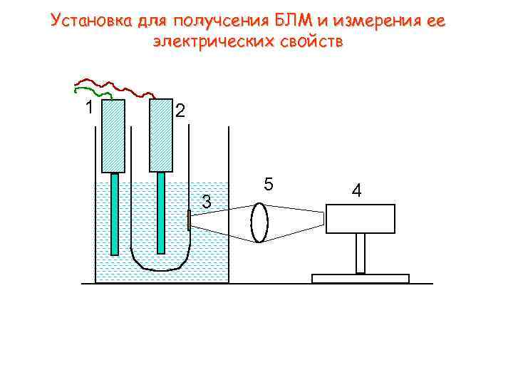 Установка для получсения БЛМ и измерения ее электрических свойств 1 2 3 5 4