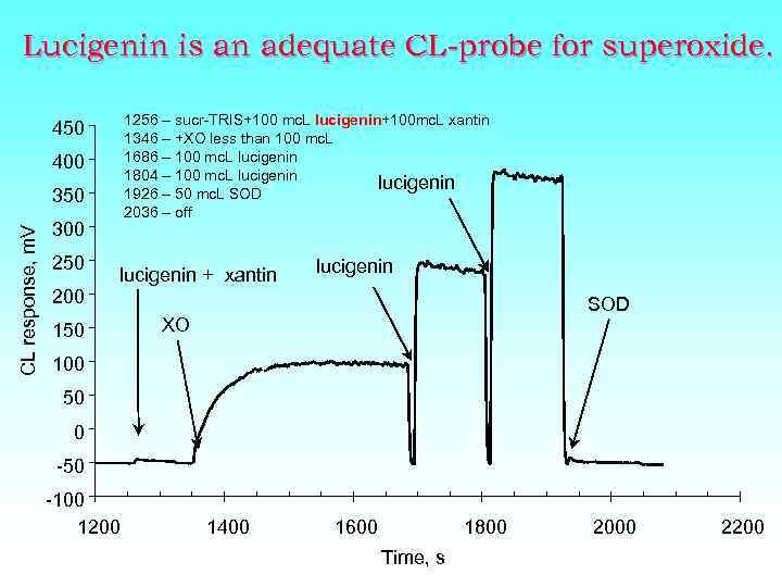 Lucigenin is an adequate CL-probe for superoxide. 1256 – sucr-TRIS+100 mc. L lucigenin+100 mc.