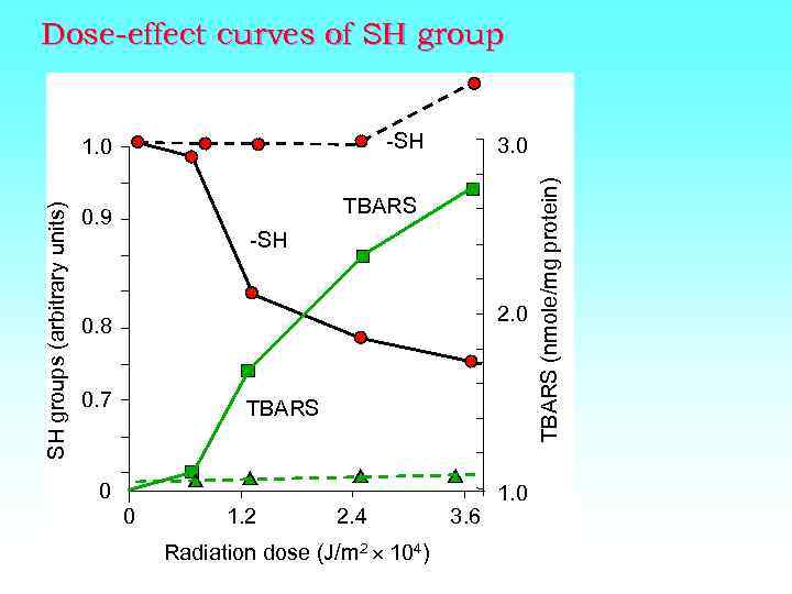 Dose-effect curves of SH group -SH 3. 0 TBARS 0. 9 -SH 2. 0