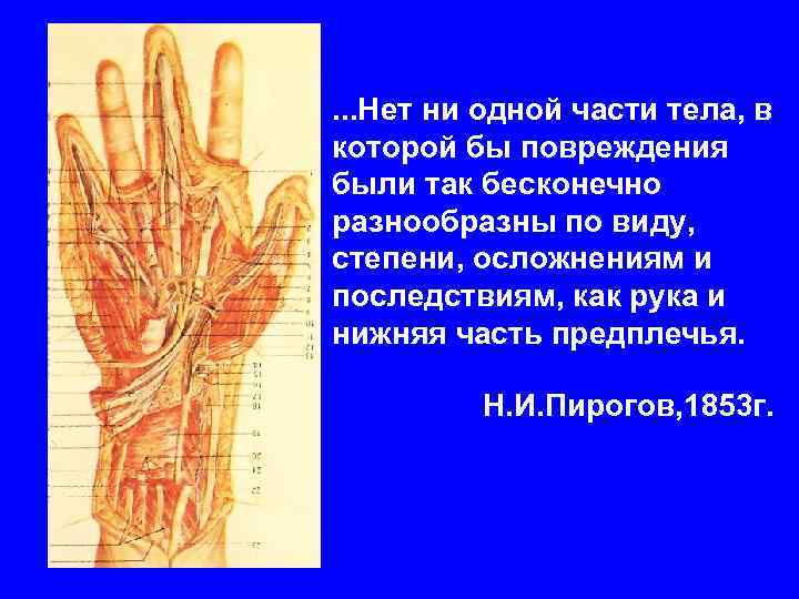 . . . Нет ни одной части тела, в которой бы повреждения были так