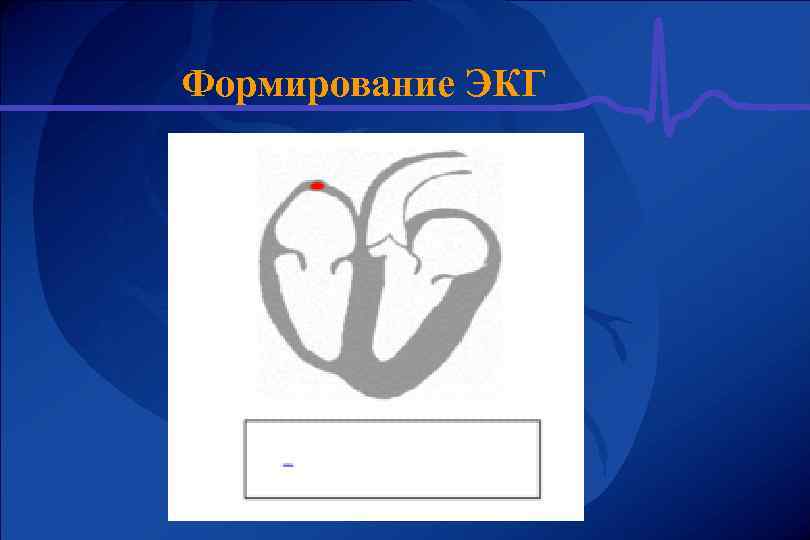 Формирование ЭКГ 