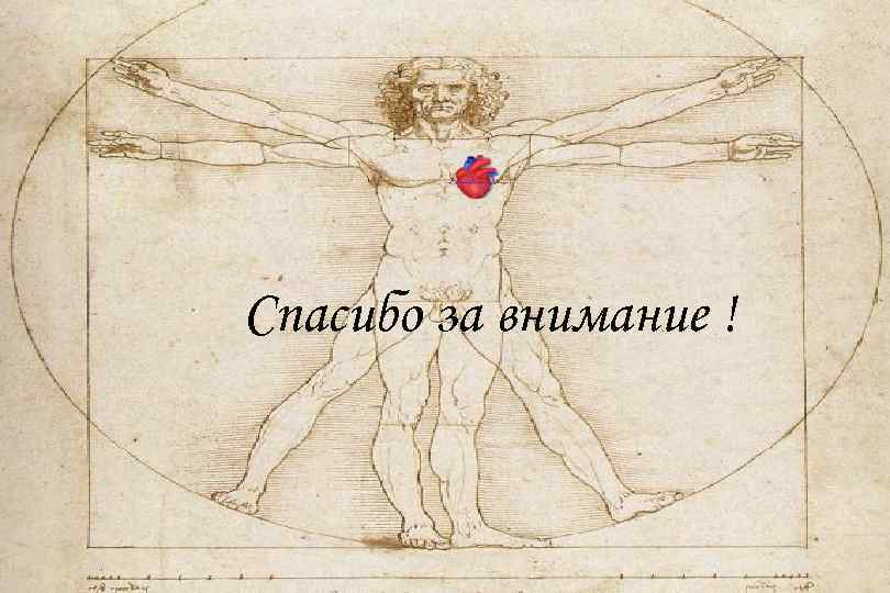 Спасибо за внимание ! 