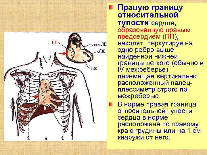 Выберите нужное положение больного геморроем на операционном столе