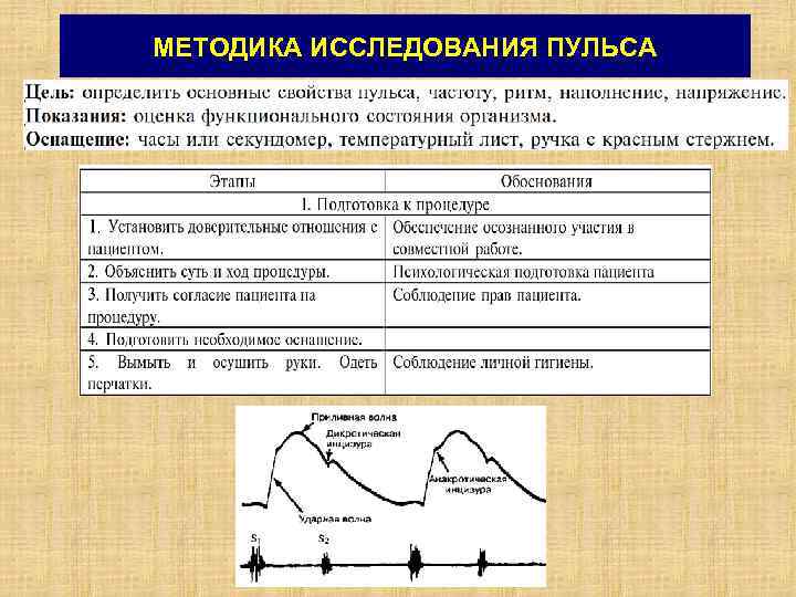МЕТОДИКА ИССЛЕДОВАНИЯ ПУЛЬСА 