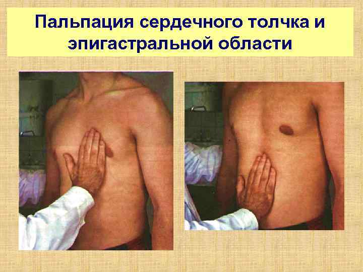 Пальпация сердечного толчка и эпигастральной области 