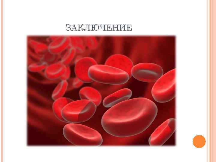 ЗАКЛЮЧЕНИЕ 