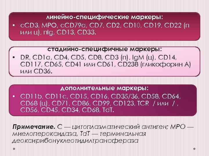 линейно-специфические маркеры: • с. CD 3, MPO, с. CD 79 a, CD 7, CD