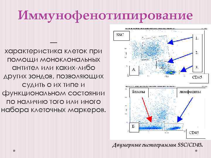Иммунофенотипирование — характеристика клеток при помощи моноклональных антител или каких-либо других зондов, позволяющих судить