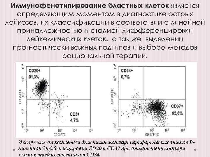 Иммунофенотипирование бластных клеток является определяющим моментом в диагностике острых лейкозов, их классификации в соответствии