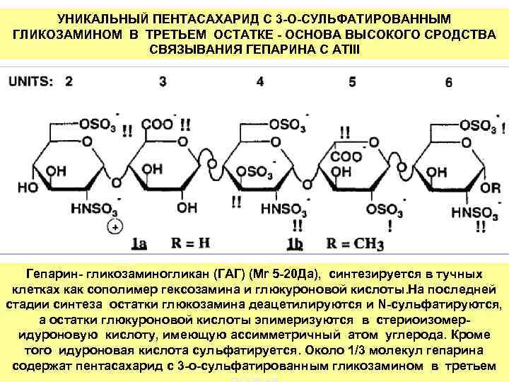 УНИКАЛЬНЫЙ ПЕНТАСАХАРИД С 3 -О-СУЛЬФАТИРОВАННЫМ ГЛИКОЗАМИНОМ В ТРЕТЬЕМ ОСТАТКЕ - ОСНОВА ВЫСОКОГО СРОДСТВА СВЯЗЫВАНИЯ