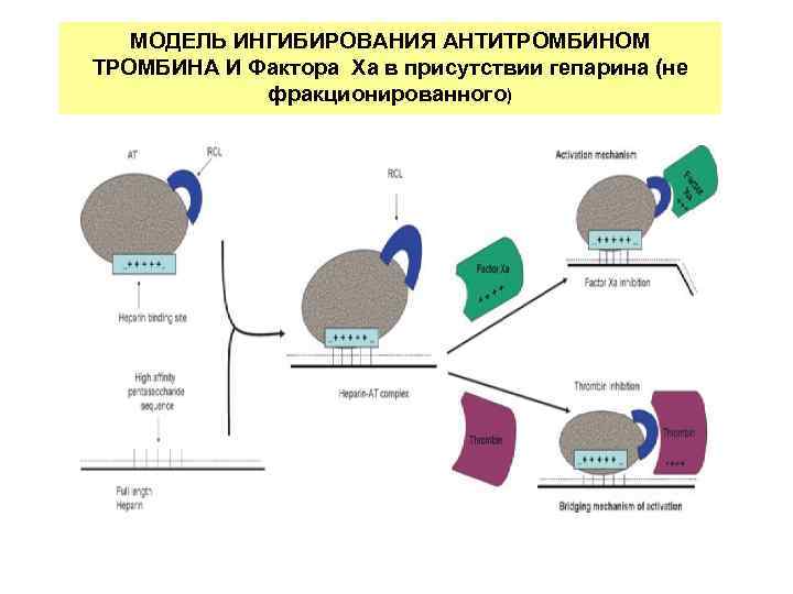 Антитромбин 3 понижен