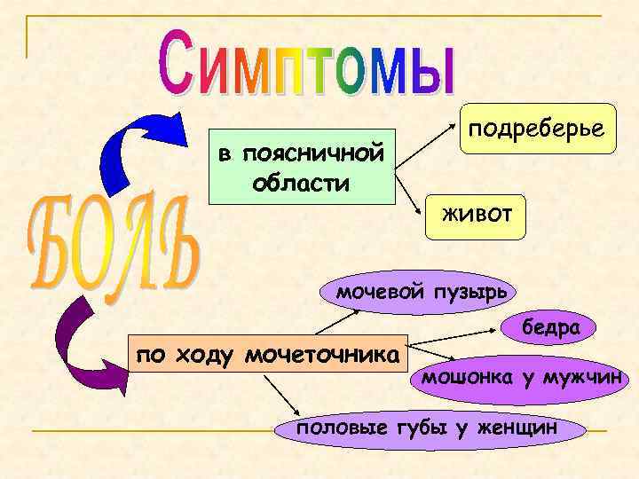 в поясничной области подреберье живот мочевой пузырь по ходу мочеточника бедра мошонка у мужчин