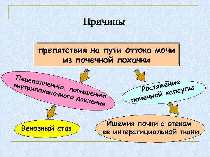 препятствия на пути оттока мочи из почечной лоханки Пере по внутр лнению, илох аночн
