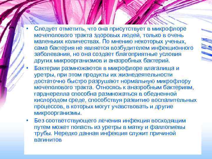  • Следует отметить, что она присутствует в микрофлоре мочеполового тракта здоровых людей, только