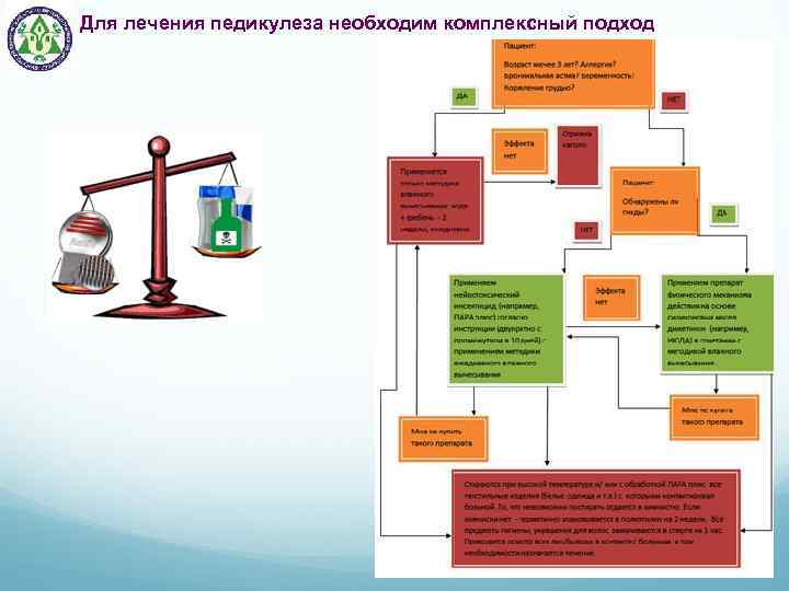 Для лечения педикулеза необходим комплексный подход 