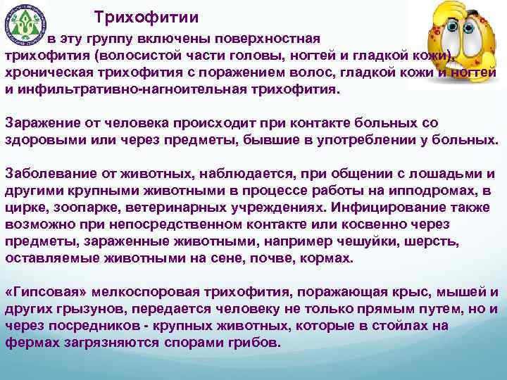  Трихофитии в эту группу включены поверхностная трихофития (волосистой части головы, ногтей и гладкой