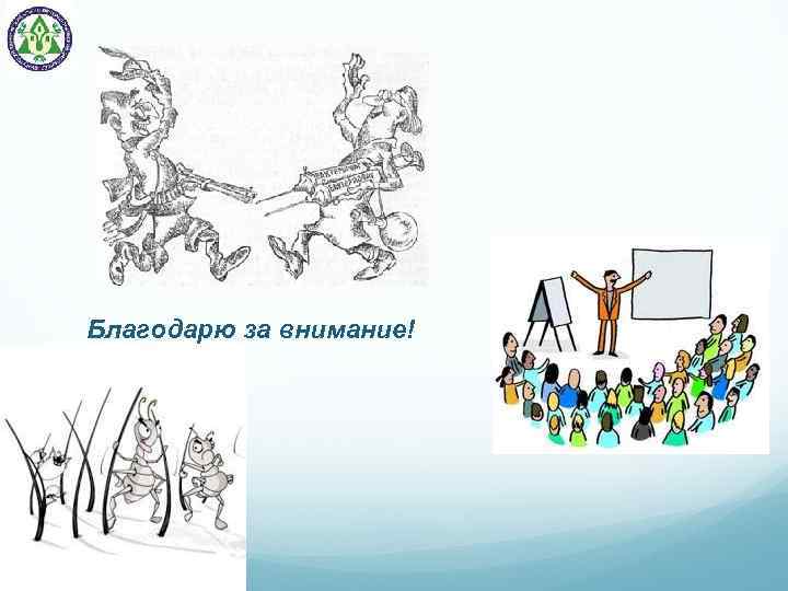 Благодарю за внимание! 