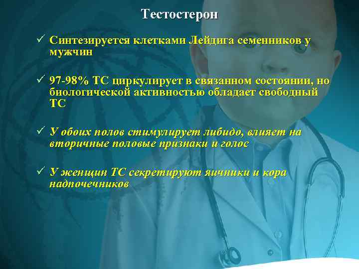 Тестостерон ü Синтезируется клетками Лейдига семенников у мужчин ü 97 -98% ТС циркулирует в