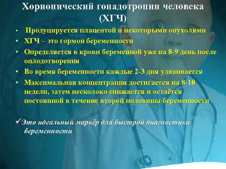 Хорионический гонадотропин человека (ХГЧ) • • • Продуцируется плацентой и некоторыми опухолями ХГЧ –