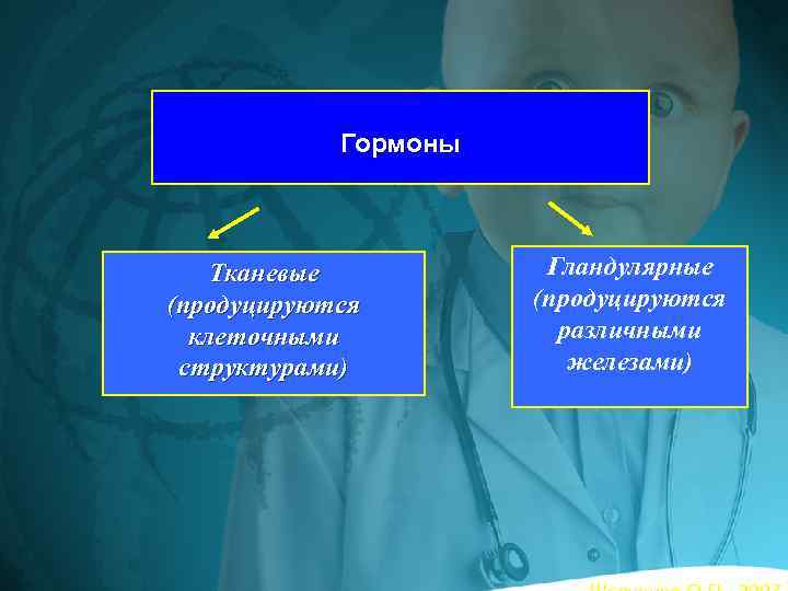 Гормоны Тканевые (продуцируются клеточными структурами) Гландулярные (продуцируются различными железами) 