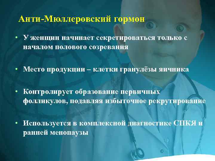 Анти-Мюллеровский гормон • У женщин начинает секретироваться только с началом полового созревания • Место