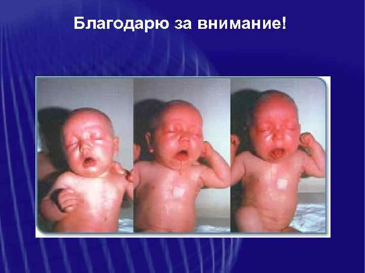 Благодарю за внимание! 