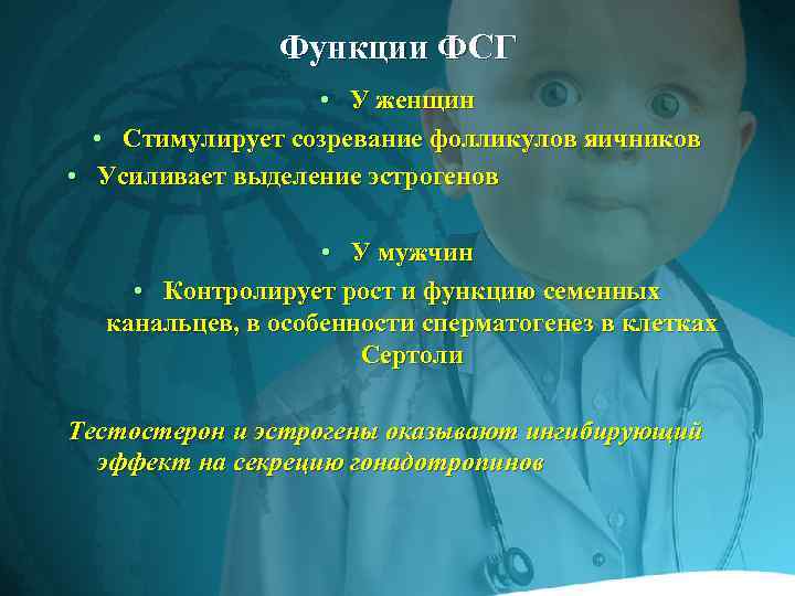 Функции ФСГ • У женщин • Стимулирует созревание фолликулов яичников • Усиливает выделение эстрогенов