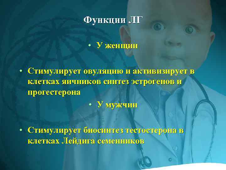Функции ЛГ • У женщин • Стимулирует овуляцию и активизирует в клетках яичников синтез