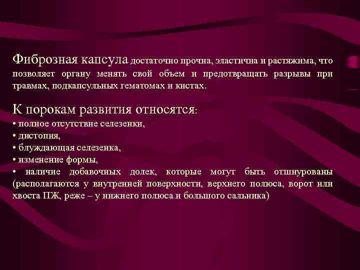 Фиброзная капсула достаточно прочна, эластична и растяжима, что позволяет органу менять свой объем и